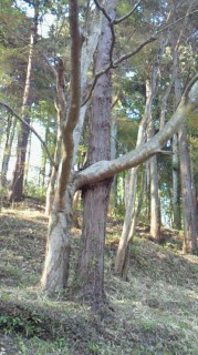 200904061635000.jpg