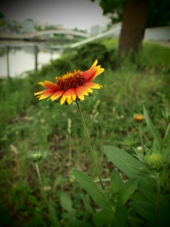 P7140055