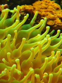 P7260225