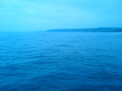 img_001_2.jpg