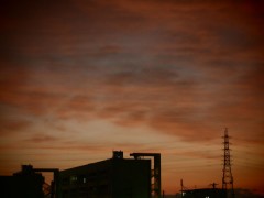 P8310041