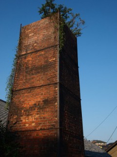 P9060142_01