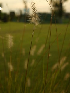 P9100188