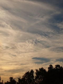 P9100195